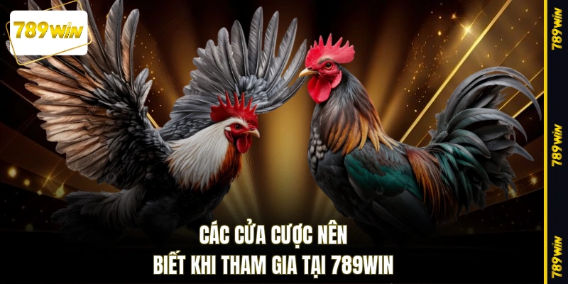 Các cửa cược nên biết khi tham gia tại 789WIN