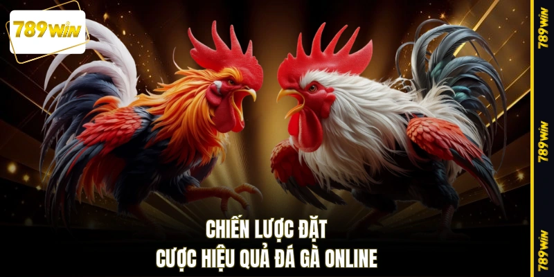 Chiến lược đặt cược hiệu quả đá gà online