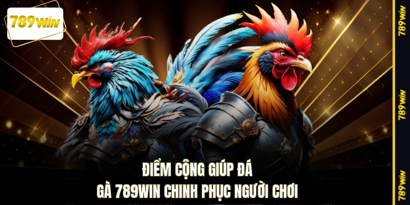 Điểm cộng giúp đá gà 789WIN chinh phục người chơi