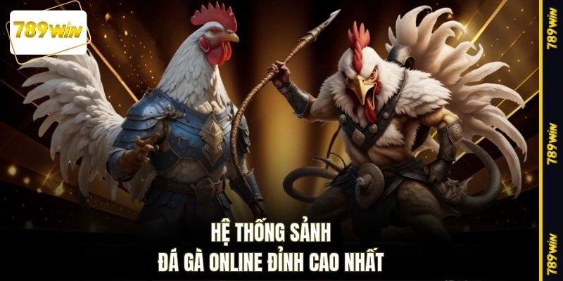 Hệ thống sảnh đá gà online đỉnh cao nhất