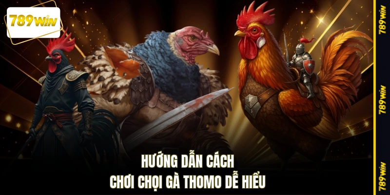 Hướng dẫn cách chơi chọi gà Thomo dễ hiểu
