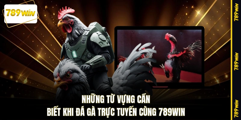 Những từ vựng cần biết khi đá gà trực tuyến cùng 789WIN