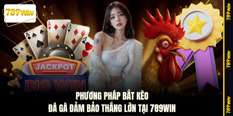 Phương pháp bắt kèo đá gà đảm bảo thắng lớn tại 789WIN