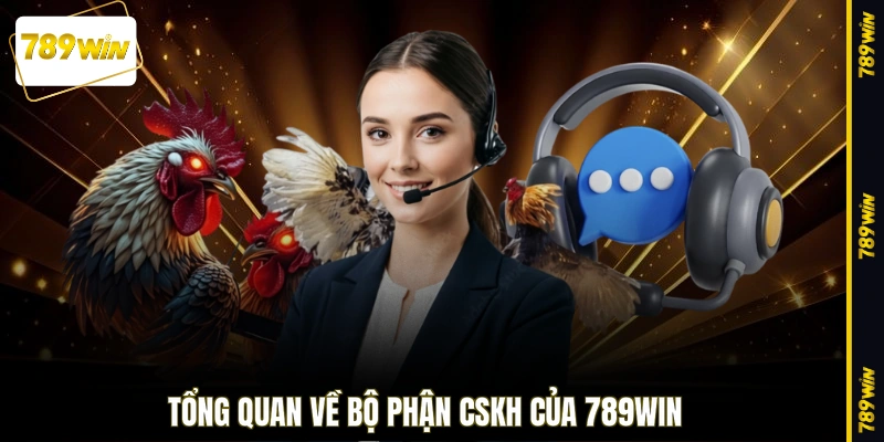 Tổng quan về bộ phận CSKH của 789WIN