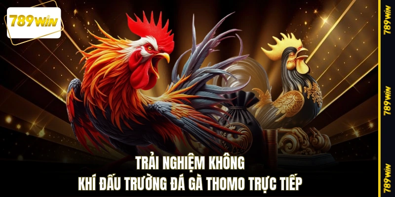 Trải nghiệm không khí đấu trường đá gà Thomo trực tiếp